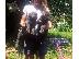 PoulaTo: CANE CORSO