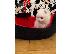 PoulaTo: Mini Pomeranian