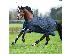 PoulaTo: 10 chronón Kfps Reg Friesian Mare