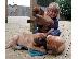 PoulaTo: Κουτάβια Bullmastiff