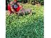 PoulaTo: Cachorros Pitbull