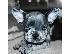 PoulaTo: French bulldog Hyena