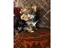 PoulaTo: AKC ΕΓΓΕΓΡΑΜΜΕΝΟ YORKSHIRE TERRIER Κουτάβια