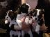 PoulaTo: Διατίθενται προς πώληση κουτάβια Boston Terrier