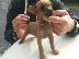 PoulaTo: Pinscher toy