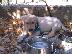 PoulaTo: Labrador katharoaima 200€