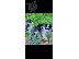 PoulaTo: Siberian husky puppy for sale