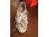 PoulaTo: adidas predator 42 2/3 copa mundial 42 2/3