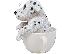 PoulaTo: Kc Dalmatian Puppies (βορειοδυτικά)