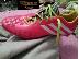 PoulaTo: adidas predator lethal zones 2 samba