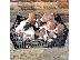 PoulaTo: Pit Bull - 