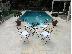 PoulaTo: Έπιπλα βεράντας Κάλαμος 215 51 56 728 Patio Furniture Kalamos  Epipla verantas Kalamos  ΈΠ...