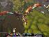 PoulaTo: poylaw wow acount 90 lvl mage 500 ilv full upgraded ta expansions polla flyings mounts ach...