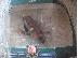 PoulaTo: 2 x figures HARRY POTTER AND THE ORDER OF THE PHOENIX +MAD EYE MOODY