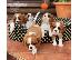 PoulaTo: Κουτάβια Cavalier King Charles
