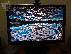 PoulaTo: Samsung T220 22"