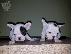PoulaTo: French bulldog