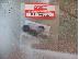 PoulaTo: 1/8 KYOSHO FI FERRARI-5027