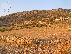 PoulaTo: PAROS LAND FOR SALE 