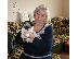 PoulaTo:    αρσενικά και θηλυκά κουτάβια biewer yorkshire terrier