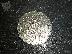PoulaTo: Austarlia Half Dollar 1983
