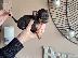 PoulaTo: Pinscher teacup